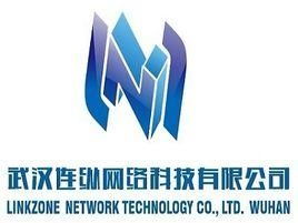 武漢連縱網絡科技 深耕技術，連接未來