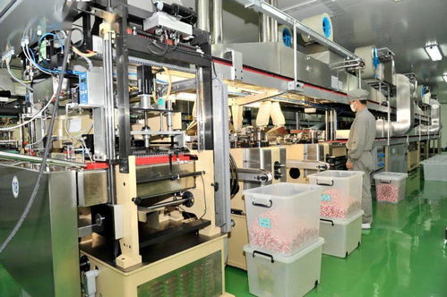 榆社強勢啟動27.6億元投資，38個重點項目聚焦生物化工技術研發